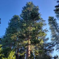 Cool Springs Campground- no available phone number ico