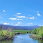 Yellow Creek Campground