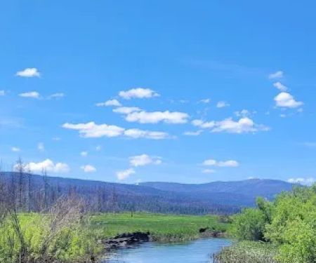 Yellow Creek Campground