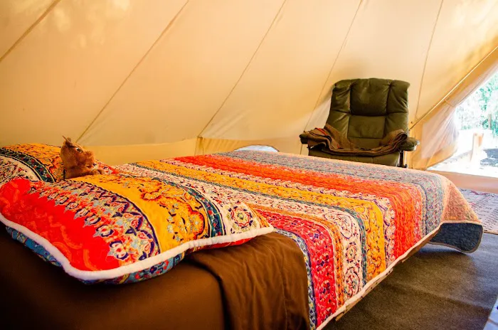 Wild Plumas Resort and Campground Picture 6