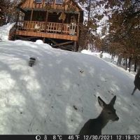 Camp Fairbank ico