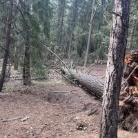 Old Fredonyer Campground ico