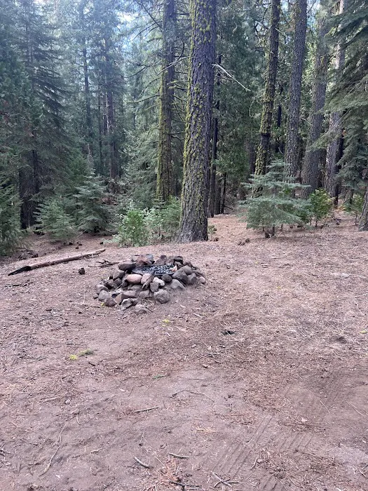 Old Fredonyer Campground Picture 4