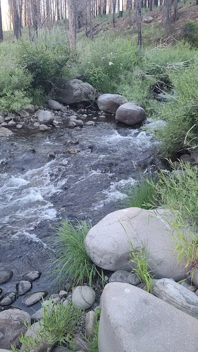 Roxie Peconom Campground Picture 4