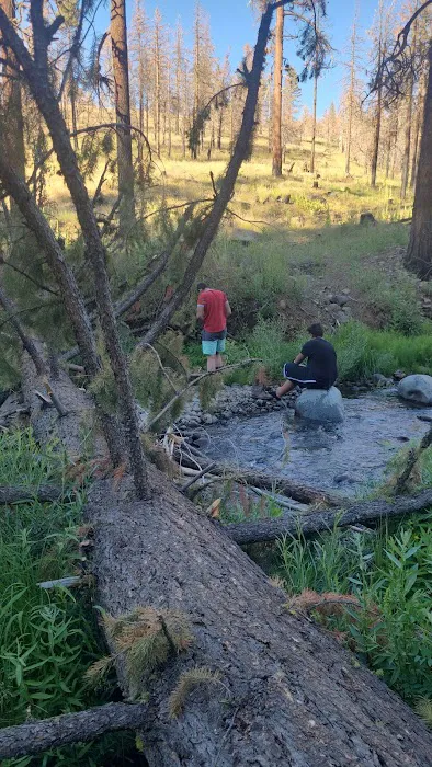 Roxie Peconom Campground Picture 2