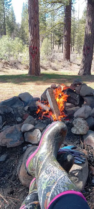 Roxie Peconom Campground Picture 5