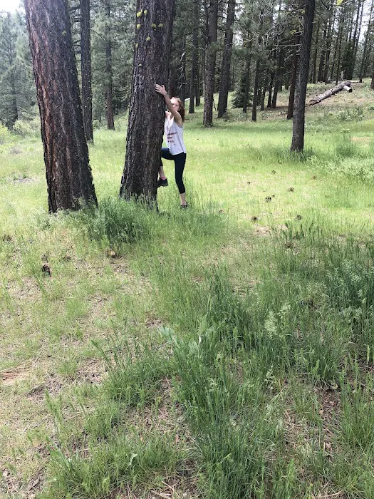 Roxie Peconom Campground Picture 6