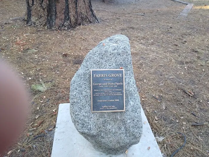 Hobo Camp Picture 10