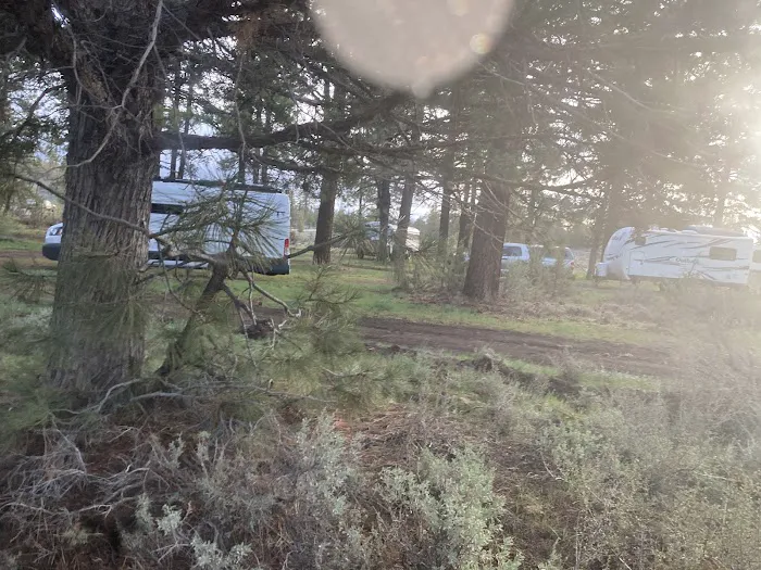 Susanville BLM Campground Picture 3