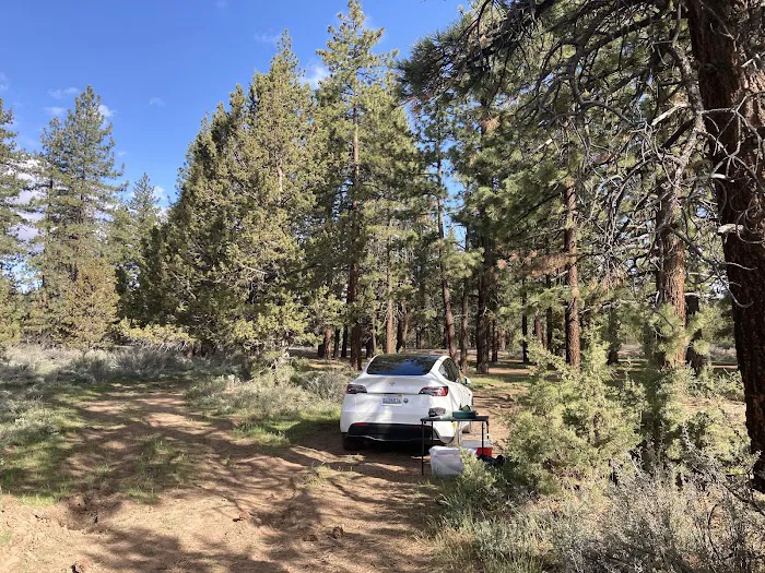 Susanville BLM Campground Picture 1
