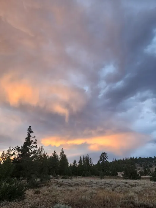 Susanville BLM Campground Picture 2