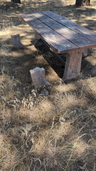 Susanville BLM Campground Picture 7