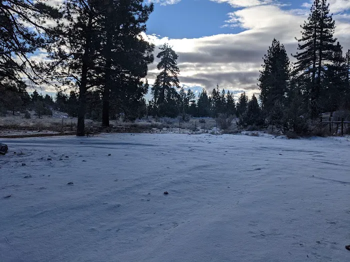 Susanville BLM Campground Picture 10