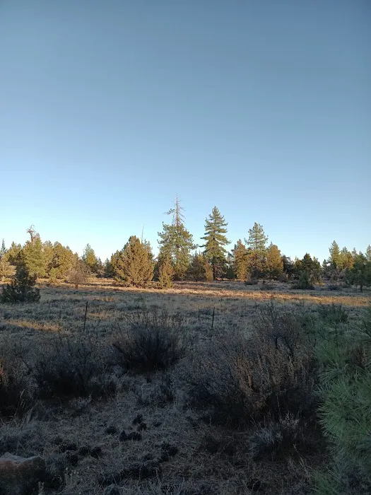 Susanville BLM Campground Picture 8