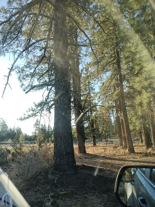 Susanville BLM Campground Picture 9