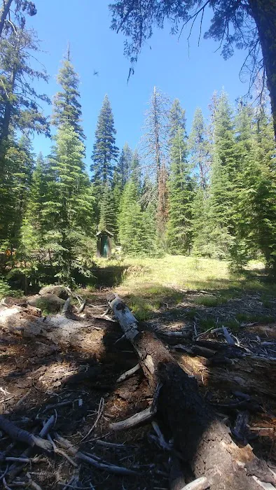 Little Grizzly Campground Picture 3