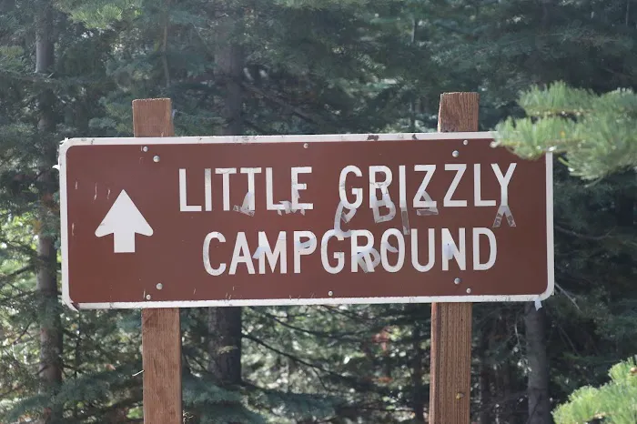 Little Grizzly Campground Picture 4