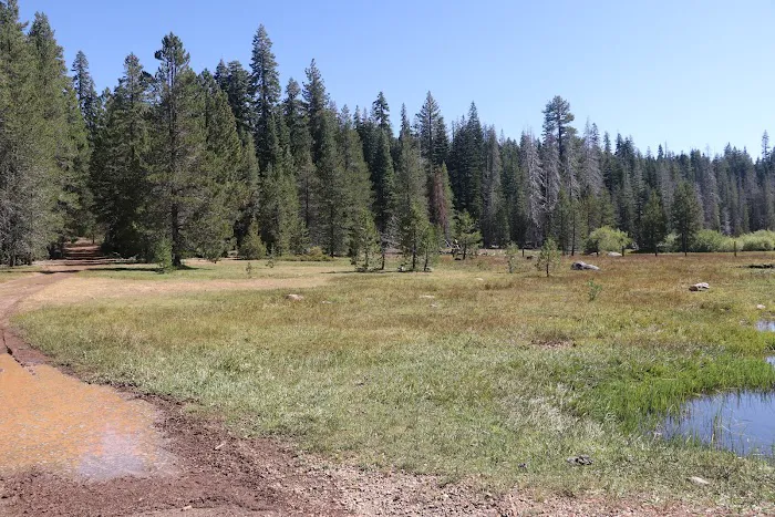 Little Grizzly Campground Picture 7