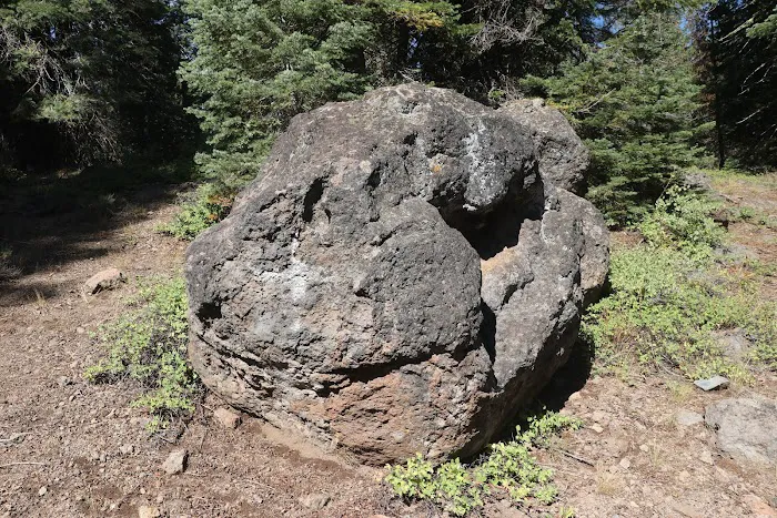 Little Grizzly Campground Picture 1