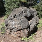 Little Grizzly Campground