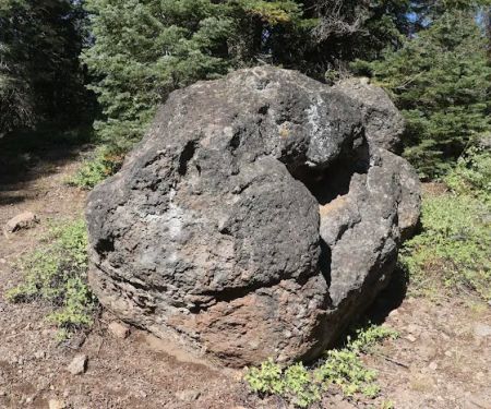 Little Grizzly Campground