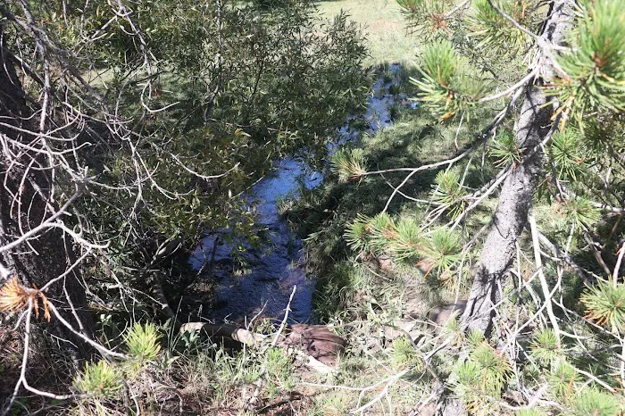 Little Grizzly Campground Picture 9