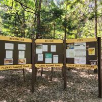 Queen Lily Campground ico