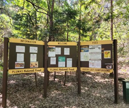 Queen Lily Campground