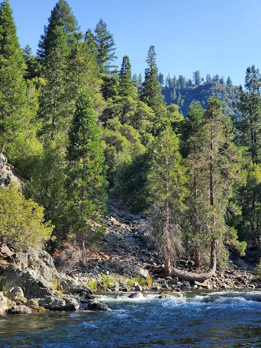 Queen Lily Campground Picture 5