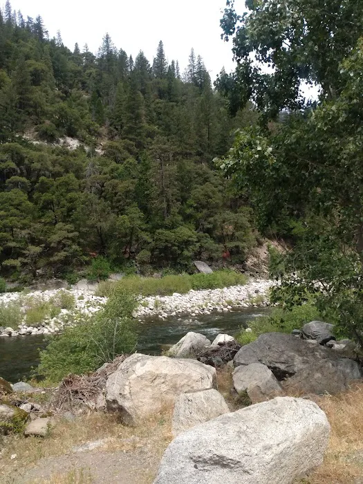 Queen Lily Campground Picture 10