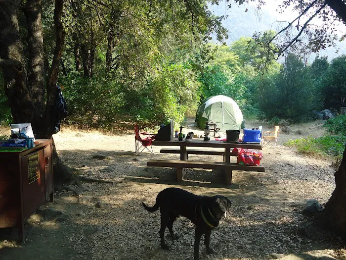 Queen Lily Campground Picture 8