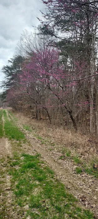 Country Roads RV Park Picture 1