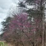 Country Roads RV Park