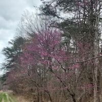 Country Roads RV Park ico