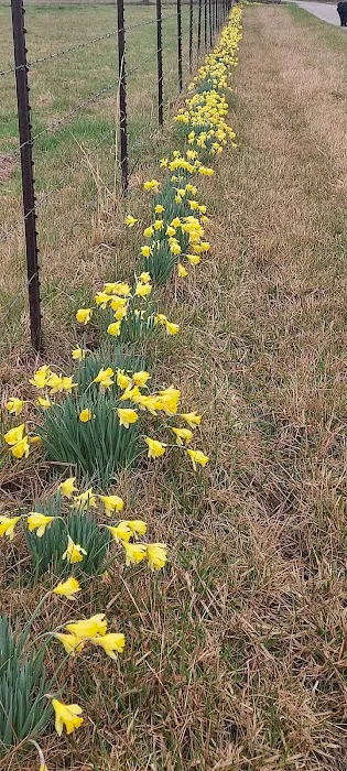 Country Roads RV Park Picture 2