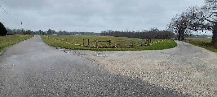 Country Roads RV Park Picture 7