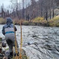 North Fork Campground ico