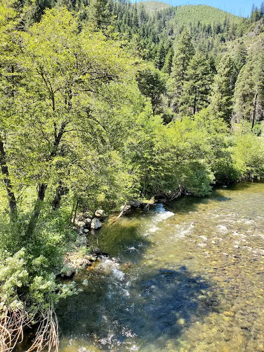 North Fork Campground Picture 3