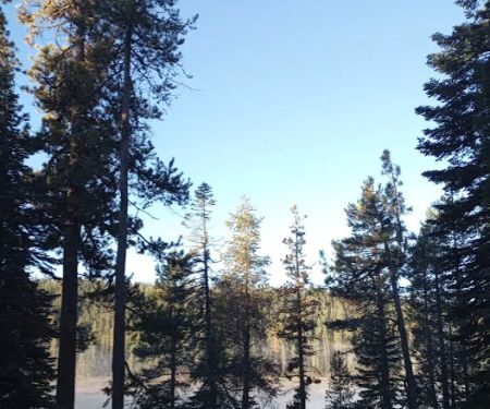 Philbrook Campground