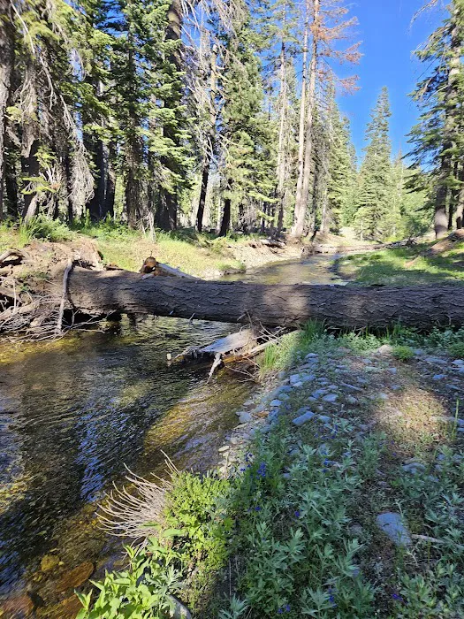 Philbrook Campground Picture 10