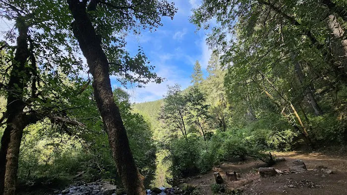 Forks Of Butte Campground Picture 4
