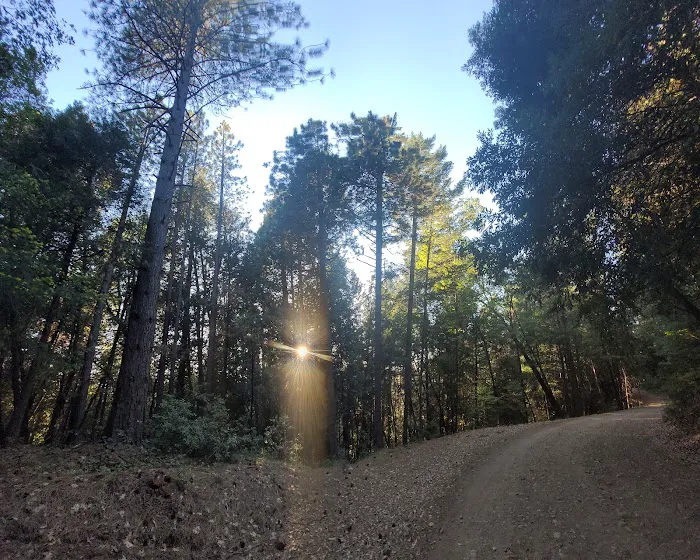 Forks Of Butte Campground Picture 3