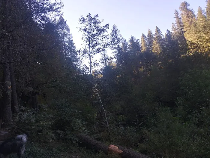 Forks Of Butte Campground Picture 9