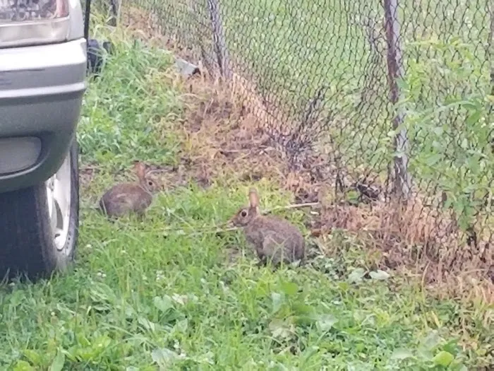 Paradise Park Manufactured Home Community Picture 6