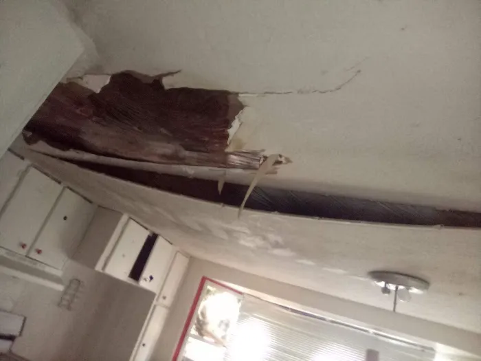 Paradise Park Manufactured Home Community Picture 5