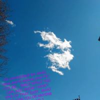 Paradise Park Manufactured Home Community ico