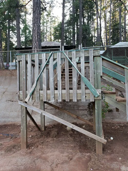 PSEA Camp DeSabla Picture 8