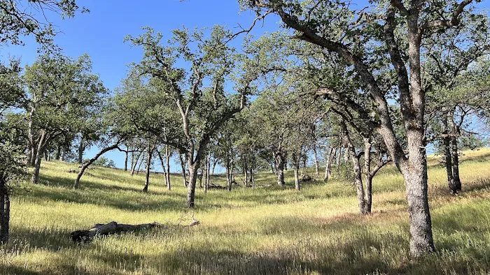 Buckhorn Recreation Area Picture 4