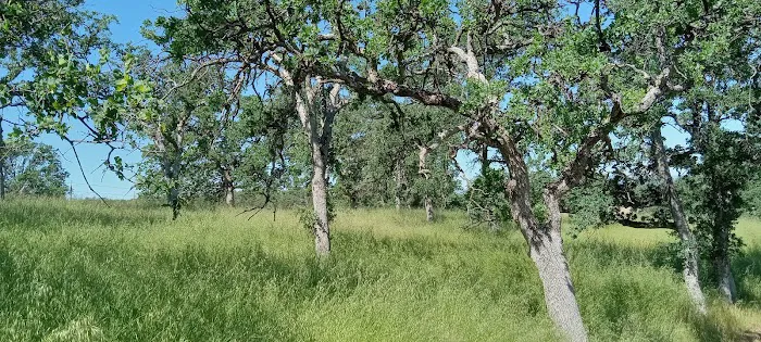 Buckhorn Campground Picture 5