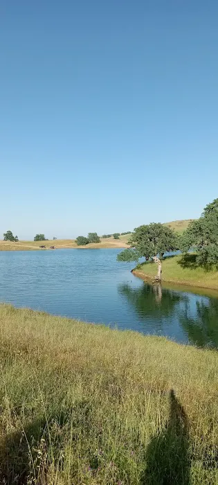 Buckhorn Campground Picture 4
